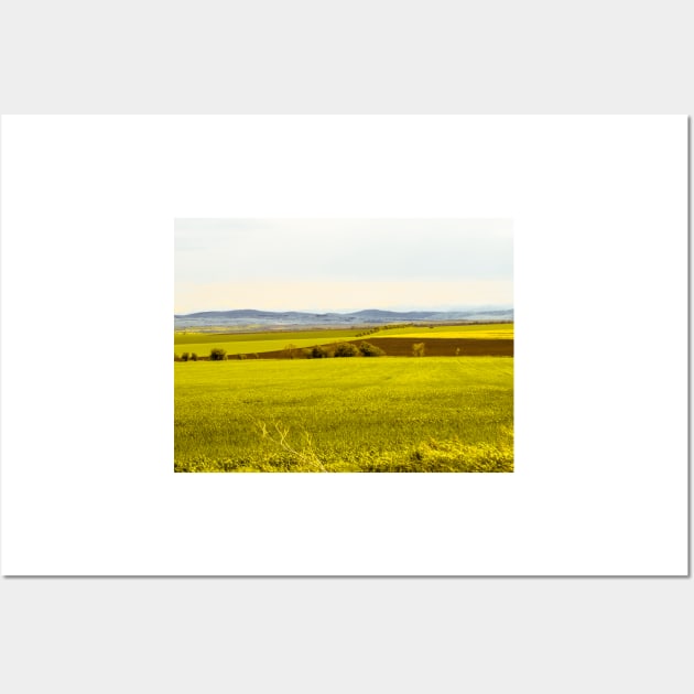 Yellow fields Wall Art by bunlinked